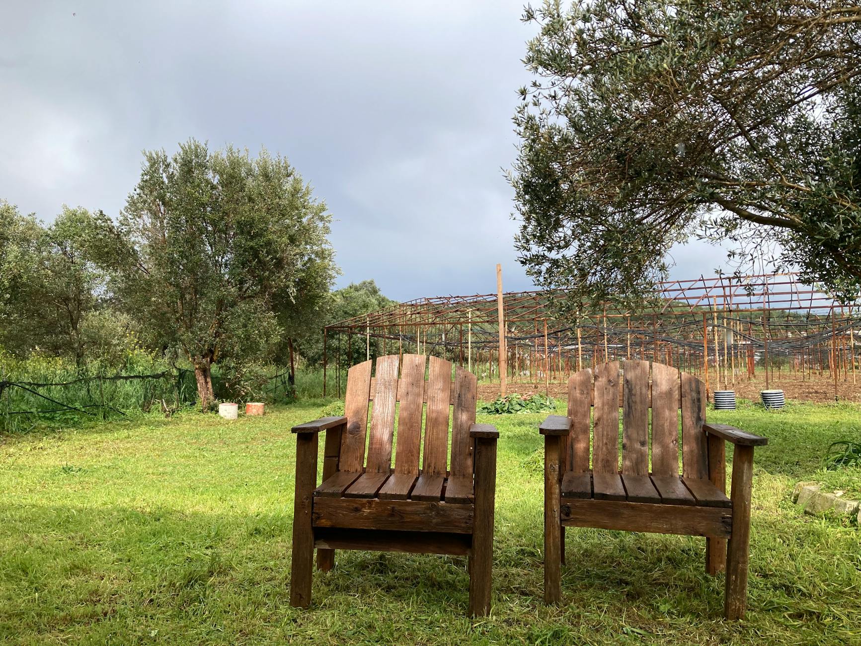 Dwa drewniane krzesła w ogrodzie otoczonym bujną zielenią