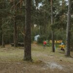 Rodzinna zabawa przy stoliku w lesie oświetlonym girlandami świateł