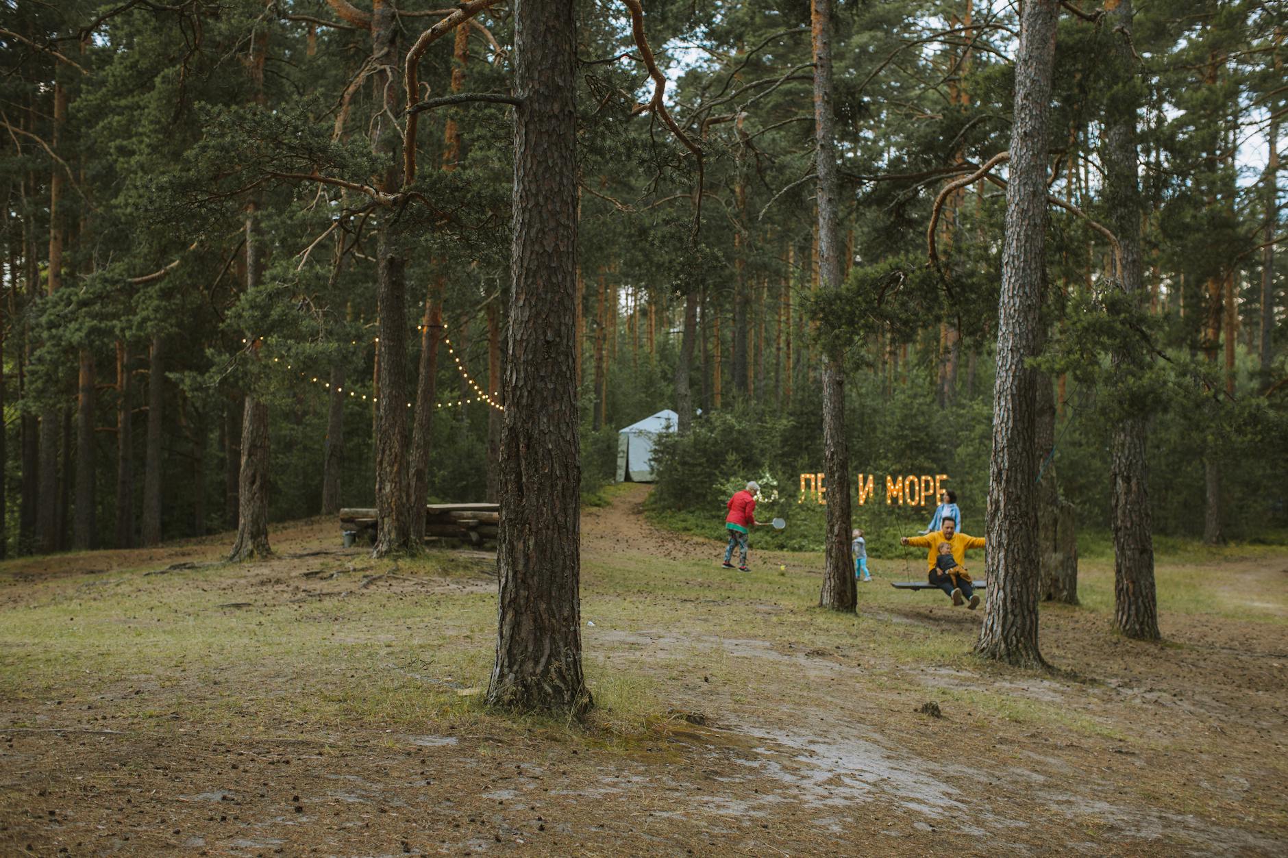 Rodzinna zabawa przy stoliku w lesie oświetlonym girlandami świateł